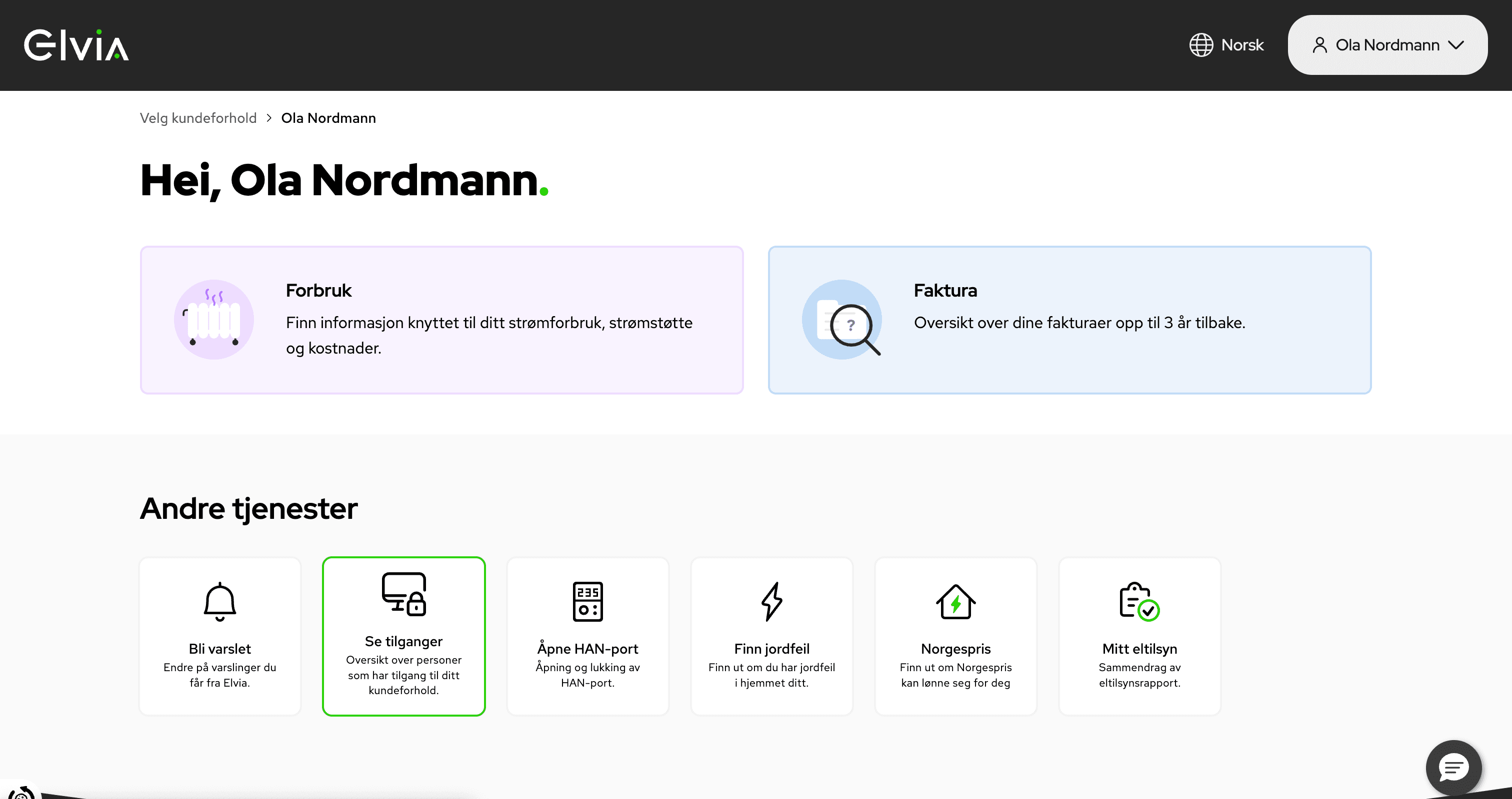 Steg 4: Gå til "Se tilganger"