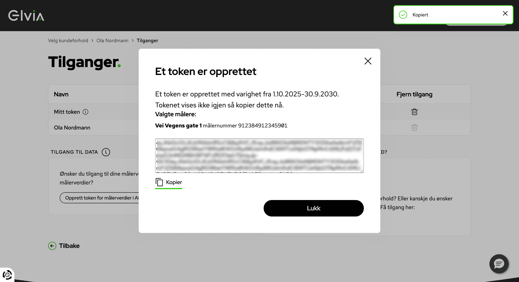 Steg 7: Kopier utskrevet token til utklippstavlen
