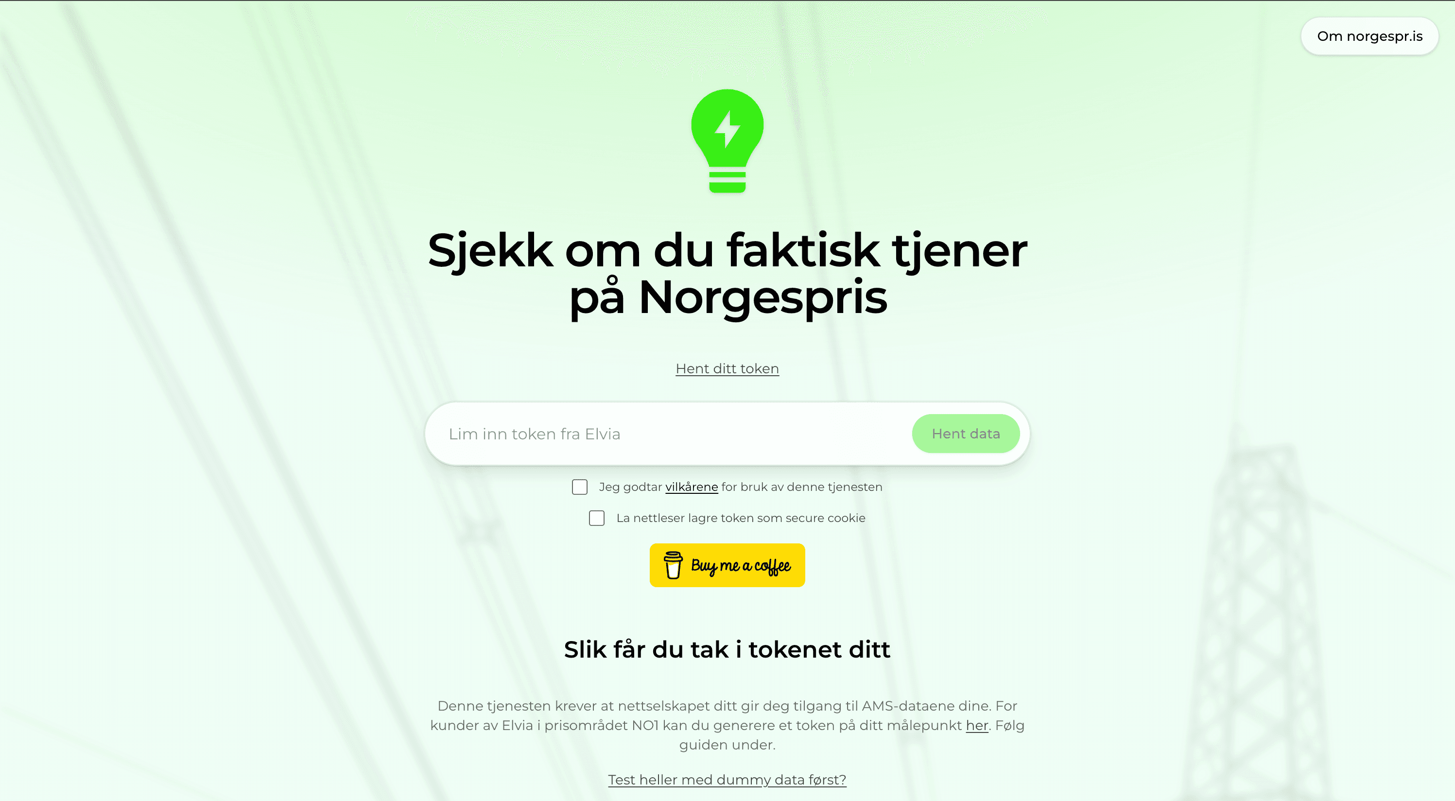 Steg 8: Lim inn tokenet her for å se hva du har spart eller tapt på Norgespris